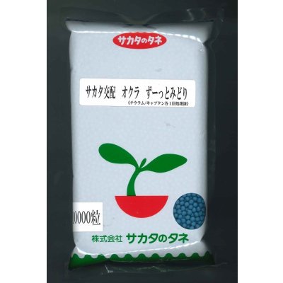 画像1: 送料無料 [オクラ] ずーっとみどり 1万粒 (株)サカタのタネ