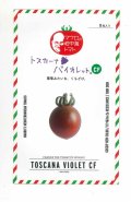 送料無料　[トマト/マウロの地中海トマト]　トスカーナバイオレットCF　100粒　サナテックシード（株）