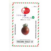 [トマト/マウロの地中海トマト]　トスカーナバイオレットCF　100粒　パイオニアエコサイエ ンス
