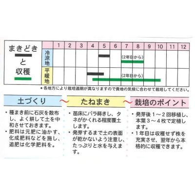 画像3: 送料無料　アシタバ　4ml　(株)タカヤマシード