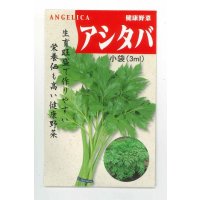 送料無料　アシタバ　4ml　(株)タカヤマシード