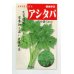 画像1: [葉物]　アシタバ　4ｍｌ　（株）タカヤマシード (1)