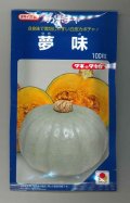 送料無料　[かぼちゃ]　夢味　100粒　タキイ種苗