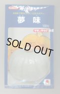 送料無料　[かぼちゃ]　夢味　100粒　タキイ種苗
