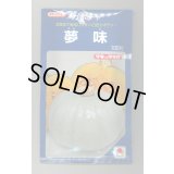 送料無料　[かぼちゃ]　夢味　100粒　タキイ種苗