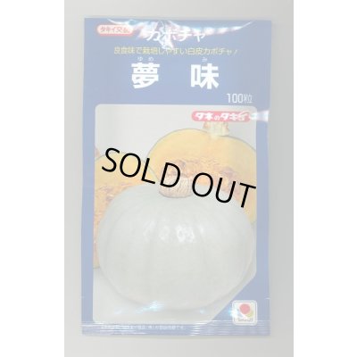 画像1: 送料無料　[かぼちゃ]　夢味　100粒　タキイ種苗