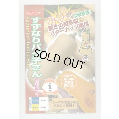 画像1: 送料無料　[かぼちゃ]　すずなりバタ子さん　100粒　ナント種苗(株)
