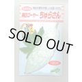 送料無料　[ゴーヤ]　純白ゴーヤー　ちゅらさん　100粒　松永種苗(株)