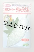 送料無料　[ゴーヤ]　純白ゴーヤー　ちゅらさん　100粒　松永種苗(株)
