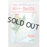 送料無料　[ゴーヤ]　純白ゴーヤー　ちゅらさん　100粒　松永種苗(株)