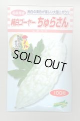 送料無料　[ゴーヤ]　純白ゴーヤー　ちゅらさん　100粒　松永種苗(株)
