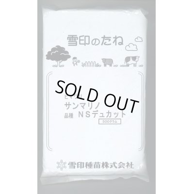 画像1: [景観形成作物]　ひまわり　サンマリノ　NSデュカット　500g　雪印種苗株式会社　