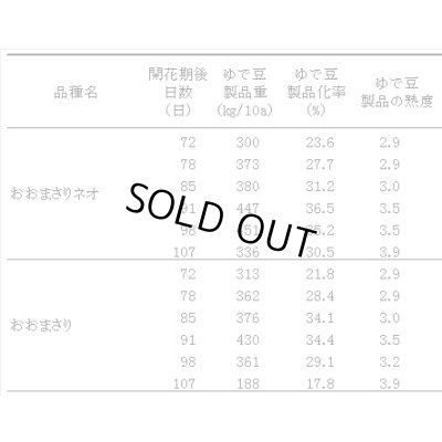 画像3: 送料無料　[落花生]　おおまさりネオ　むき実種子　1L　渡辺農事（株）
