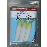 送料無料 [大根] 天宝 2dl (株)サカタのタネ
