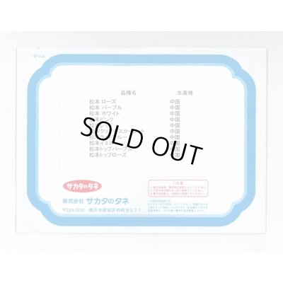 画像2: 送料無料　花の種　アスター　松本　特選混合　20ml　　(株)サカタのタネ