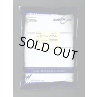 送料無料　[オクラ]　スターエンゼル　1万粒　渡辺農事（株）