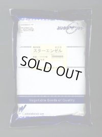 送料無料　[オクラ]　スターエンゼル　1万粒　渡辺農事（株）