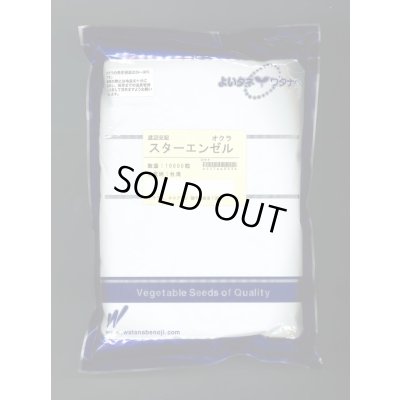画像1: 送料無料　[オクラ]　スターエンゼル　1万粒　渡辺農事（株）