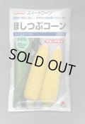 送料無料　[とうもろこし]　ほしつぶコーン　200粒　タキイ種苗