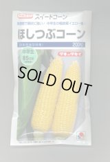 送料無料　[とうもろこし]　ほしつぶコーン　200粒　タキイ種苗