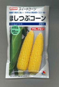 [とうもろこし]　ほしつぶコーン　200粒　タキイ種苗