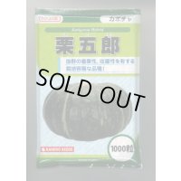 送料無料　[かぼちゃ]　栗五郎　1000粒　カネコ種苗（株）