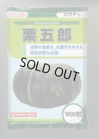 送料無料　[かぼちゃ]　栗五郎　1000粒　カネコ種苗（株）