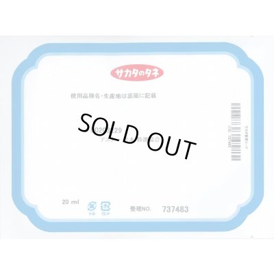 画像1: 送料無料　花の種　アスター　松本　特選混合　20ml　　(株)サカタのタネ