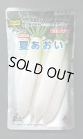 送料無料　大根　夏あおい　2dl　タキイ種苗(株)