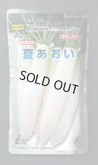 送料無料　大根　夏あおい　2dl　タキイ種苗(株)