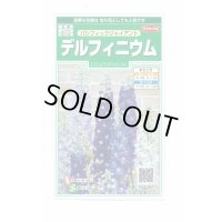 送料無料　花の種　デルフィニウム　パシフィックジャイアント　約30粒　(株)サカタのタネ　実咲250（026257）