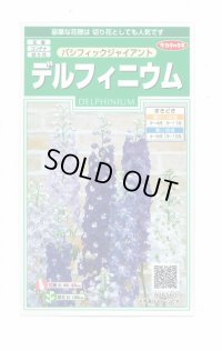 送料無料　花の種　デルフィニウム　パシフィックジャイアント　約30粒　(株)サカタのタネ　実咲250（026257）