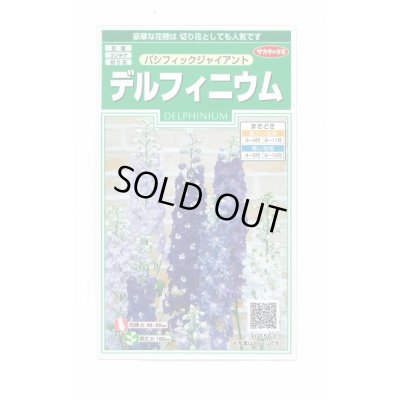 画像1: 送料無料　花の種　デルフィニウム　パシフィックジャイアント　約30粒　(株)サカタのタネ　実咲250（026257）