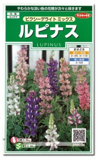 花の種　ルピナス　ピクシーデライトミックス　約30粒　サカタのタネ（実咲200）