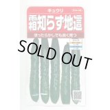 送料無料　[キュウリ]　霜知らず地這　約50粒　(株)サカタのタネ　実咲350（002850）