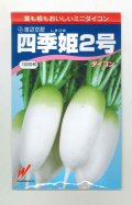 送料無料　[大根]　四季姫2号　1000粒　渡辺交配