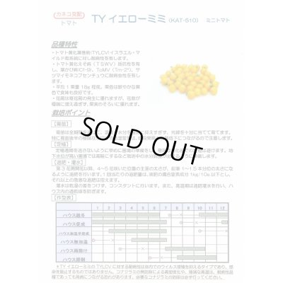 画像2: 送料無料　[トマト/ミニトマト]　TYイエローミミ　100粒　カネコ種苗（株）