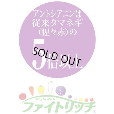 画像3: 送料無料　[たまねぎ]　ケルたまルビー　2dl　タキイ種苗(株)