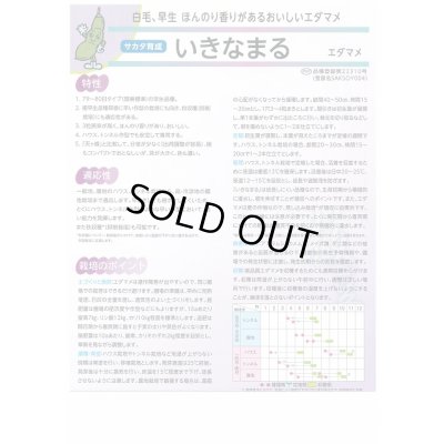 画像3: [枝豆] いきなまる 1L (株)サカタのタネ