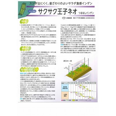 画像3: [いんげん]　つるなしいんげん　サクサク王子ネオ　1L　サカタのタネ（株）