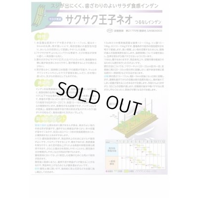画像3: [いんげん]　つるなしいんげん　サクサク王子ネオ　1L　(株)サカタのタネ