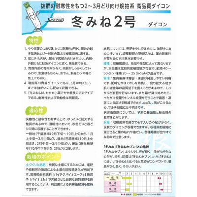 画像3: 送料無料 大根 冬みね2号 800粒 (株)サカタのタネ