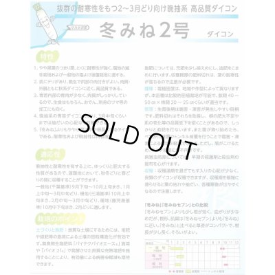 画像3: 送料無料　大根　冬みね2号　800粒　(株)サカタのタネ