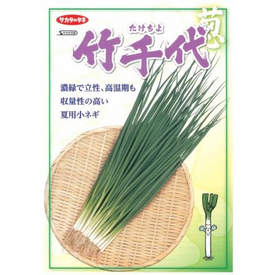 画像2: [ねぎ]　竹千代　2dl　（株）サカタのタネ