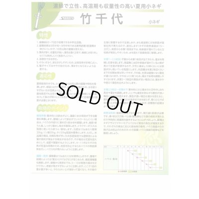 画像3: 送料無料　[ねぎ]　竹千代　20ml　（株）サカタのタネ