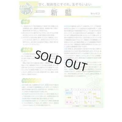 画像3: 送料無料　[キャベツ]　新藍　約65粒　(株)サカタのタネ　実咲450（002914）