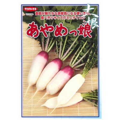 画像2: 送料無料　[大根]　ミニダイコン　あやめっ娘　約130粒　(株)サカタのタネ　実咲450（003075）