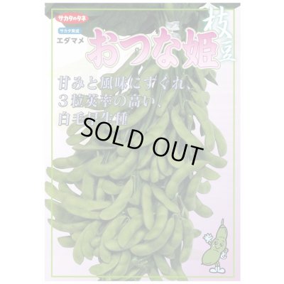 画像2: [枝豆]　おつな姫　1L　(株)サカタのタネ