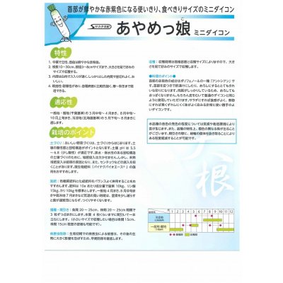 画像3: 送料無料　[大根]　ミニダイコン　あやめっ娘　約130粒　(株)サカタのタネ　実咲450（003075）