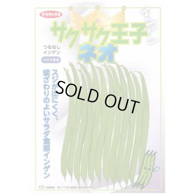 画像2: [いんげん]　つるなしいんげん　サクサク王子ネオ　1L　(株)サカタのタネ